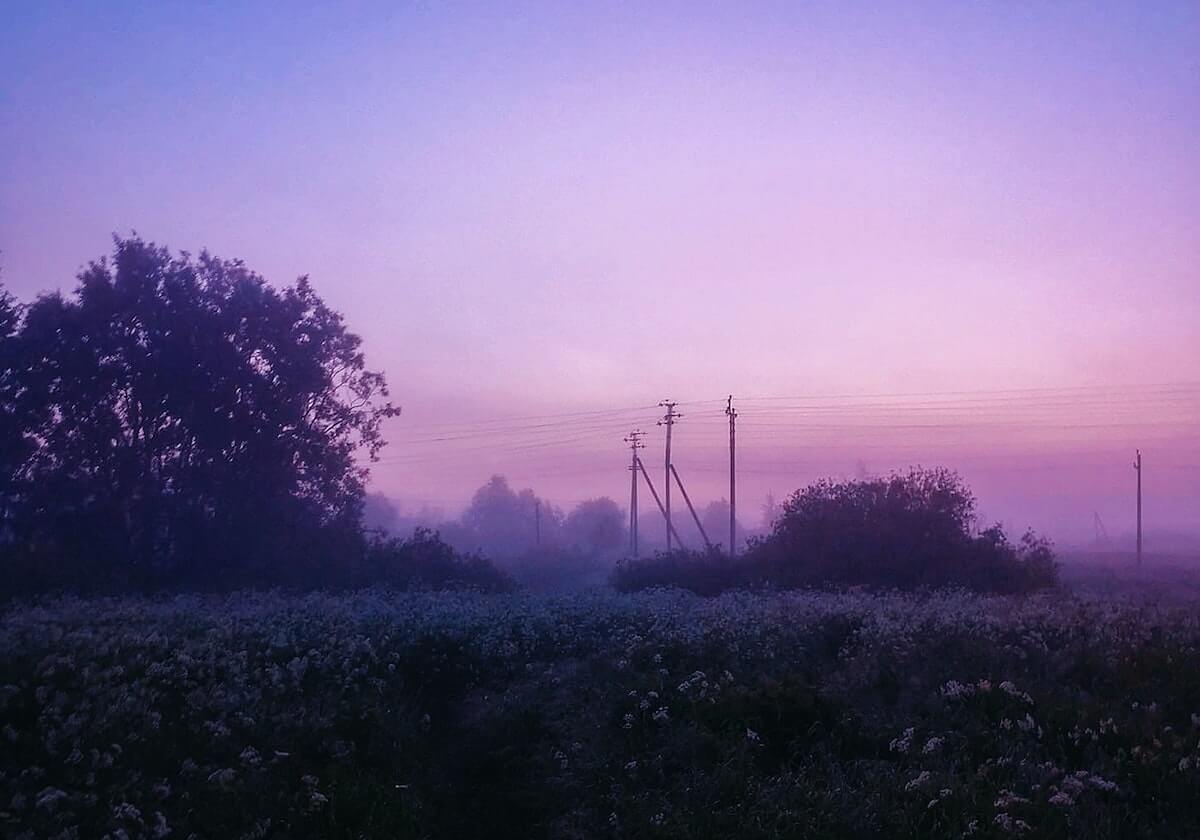 上海男篮官宣张镇麟正式加盟，身披77号战袍，去年同日郭艾伦离开辽篮